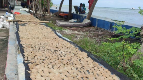 Potensi Daerah RW 4 Kelurahan Pulau Tidung, Kepulauan Seribu