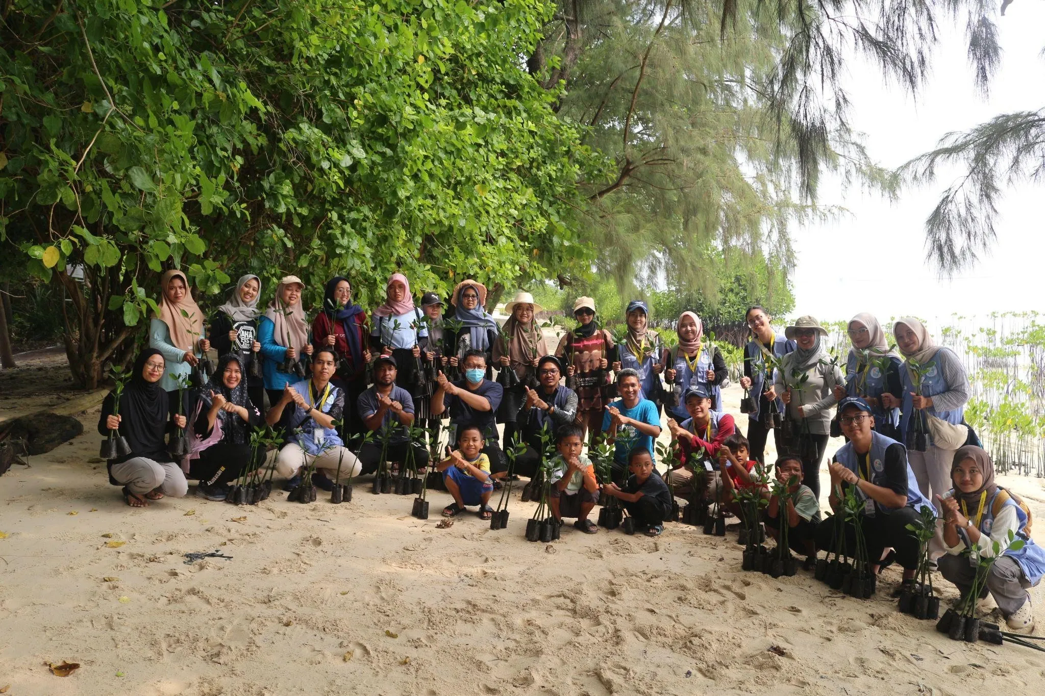 Edukasi dan tanam mangrove